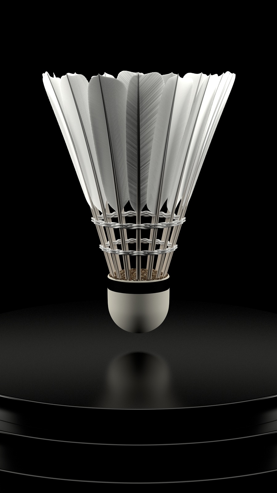 的球迷能够 的球迷能够