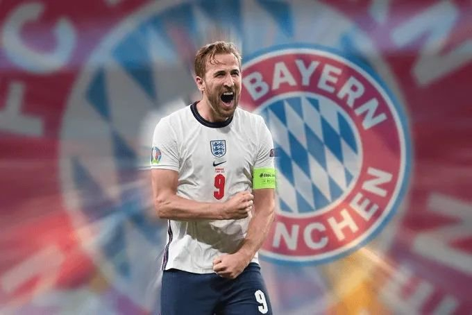 他们可能会 他们可能会