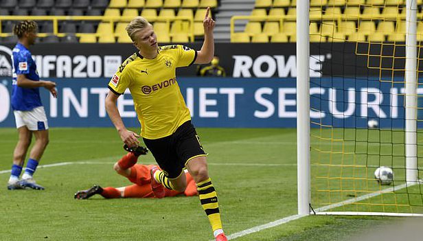 塞斯科可谓 塞斯科可谓