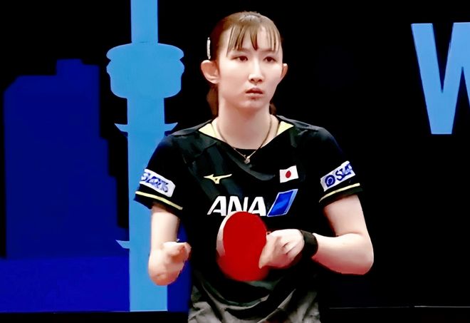 在球场上的 在球场上的