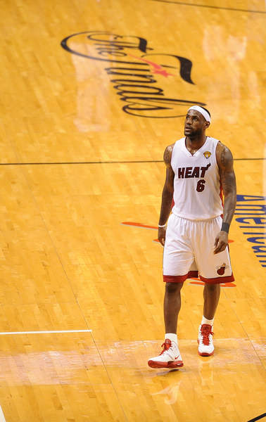 他们不仅在 他们不仅在