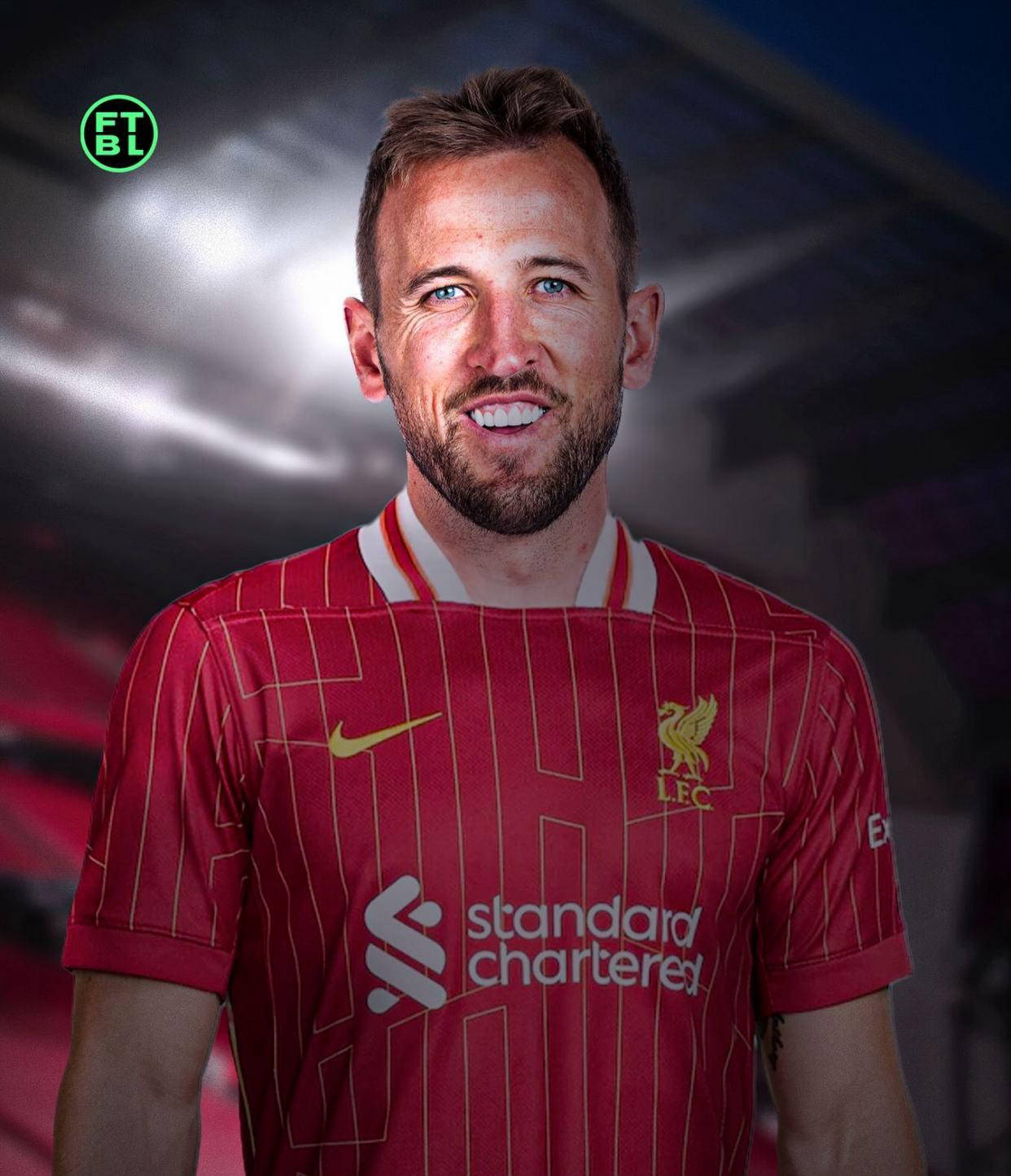 媒體的特點 媒體的特點